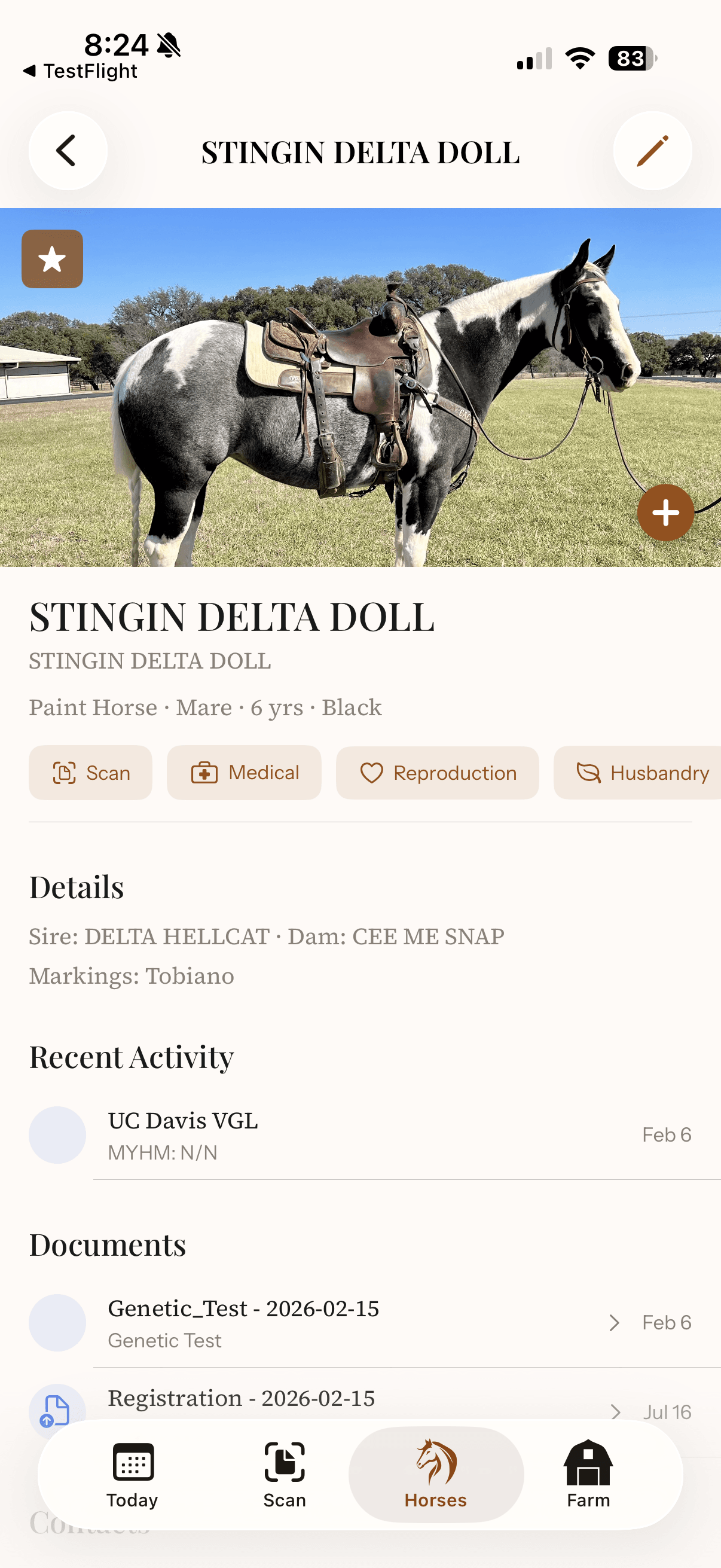 Detailed horse profile with photo, records, and documents