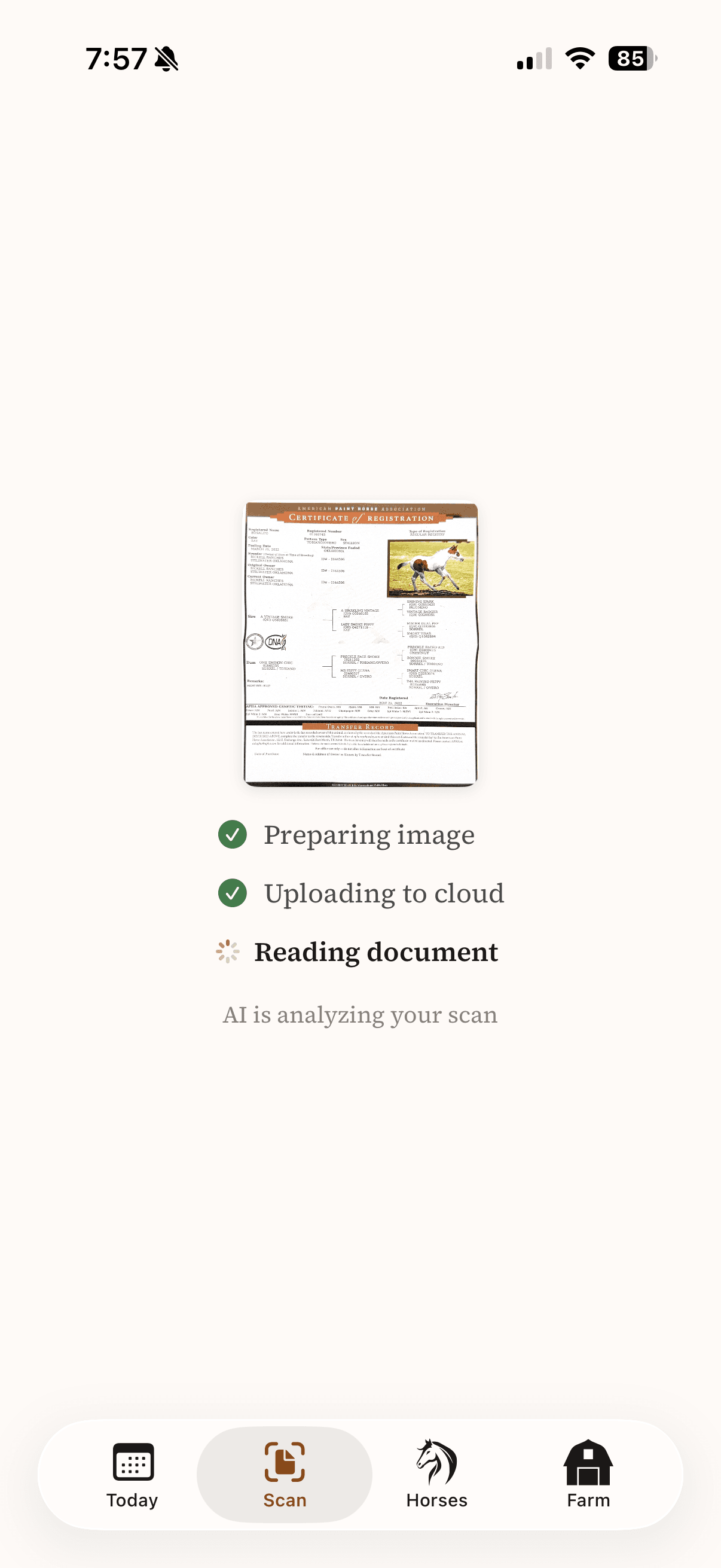 AI analyzing a scanned horse registration document