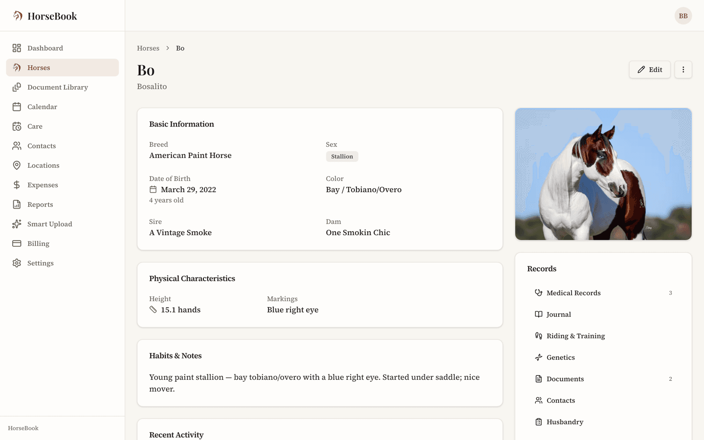 HorseBook stallion profile for the paint stallion Bosalito with photo, physical details, and a records sidebar