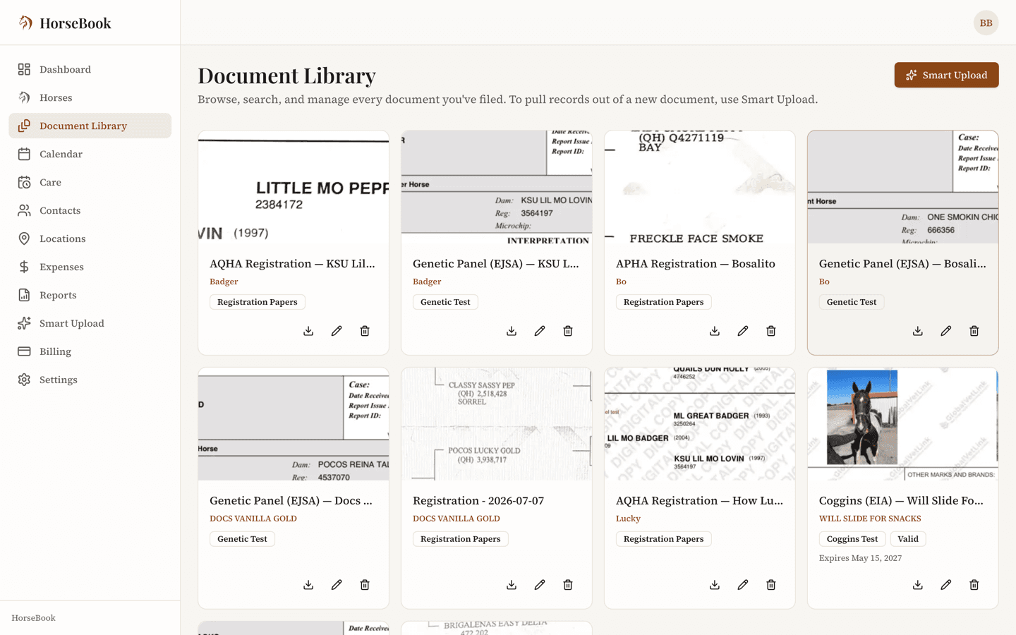 HorseBook document library grid showing registration papers, genetic panels, and Coggins with type and status badges