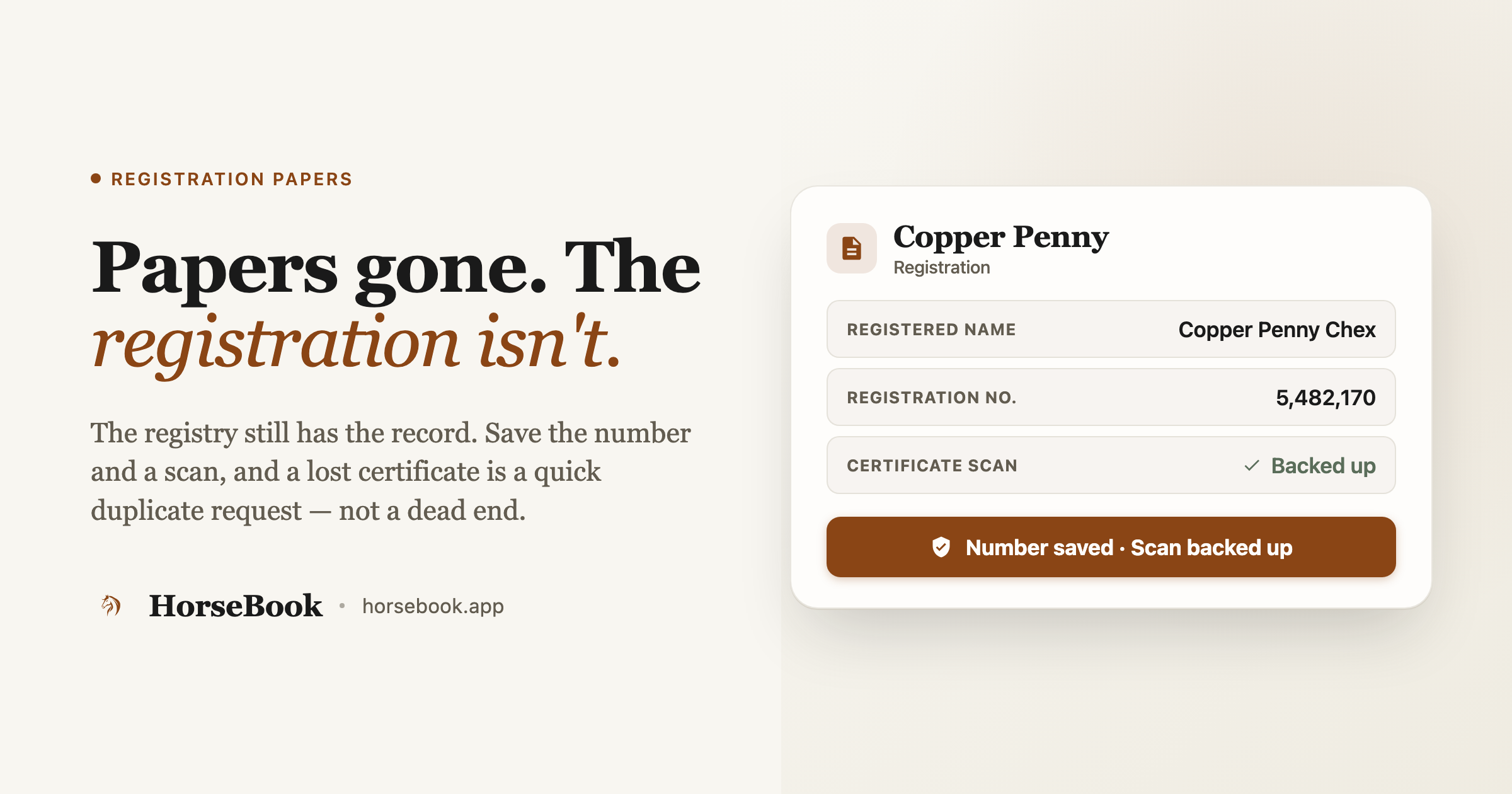 Lost Your Horse's Registration Papers? How to Replace Them