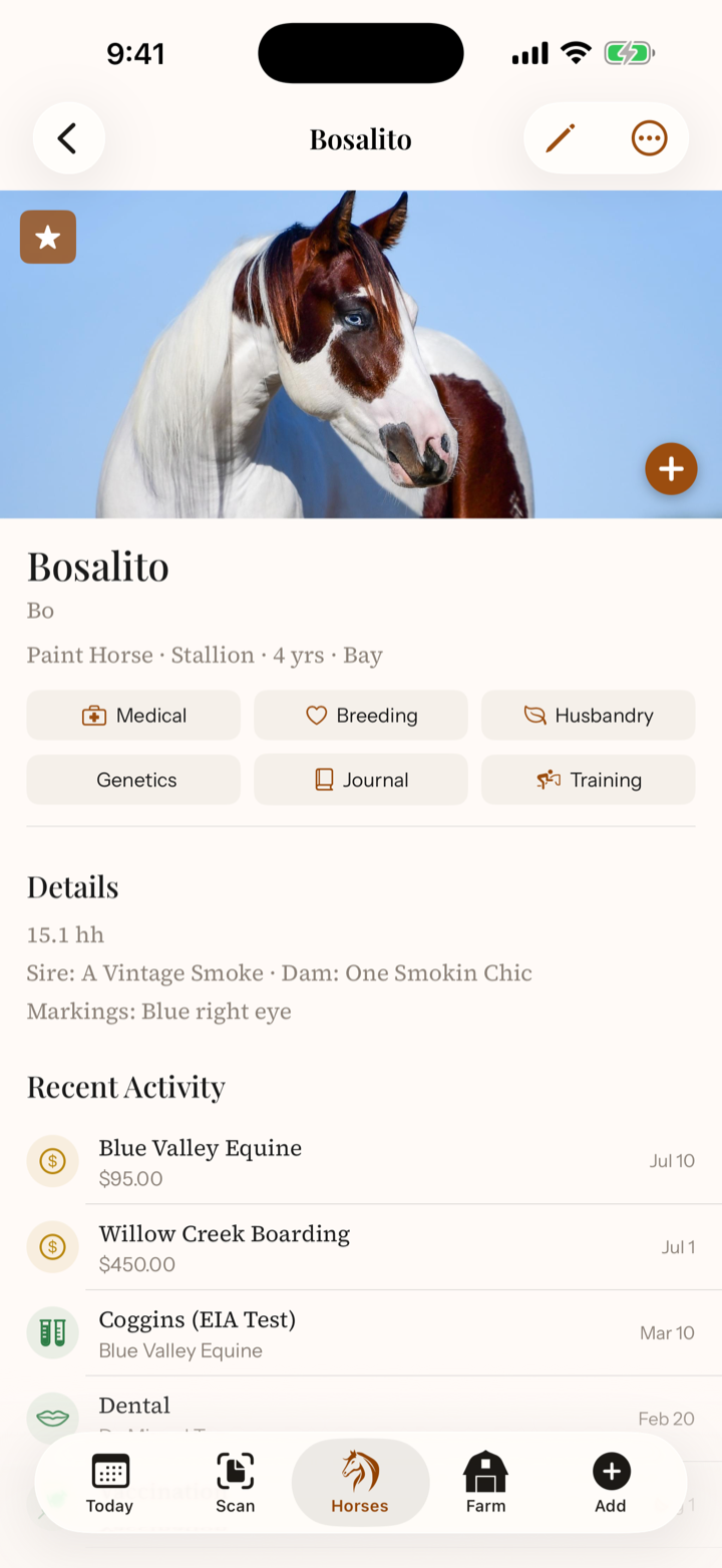 iOS horse profile with a large photo, identity summary, record buttons, and lineage details