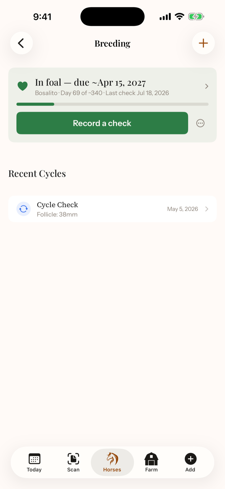 iOS mare breeding surface showing an in-foal pregnancy with due date, day count, progress bar, and recent cycles