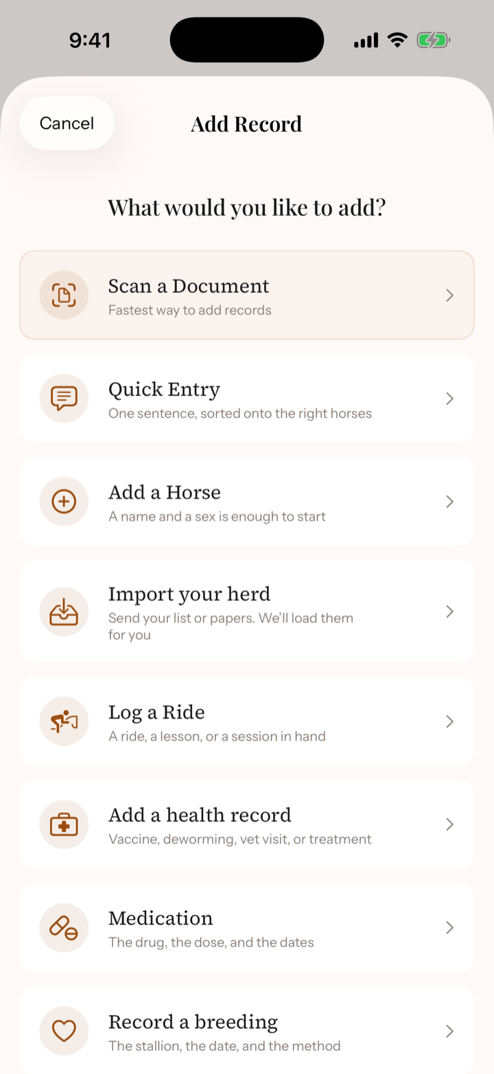 iPhone Add sheet with Quick Entry under Scan a Document