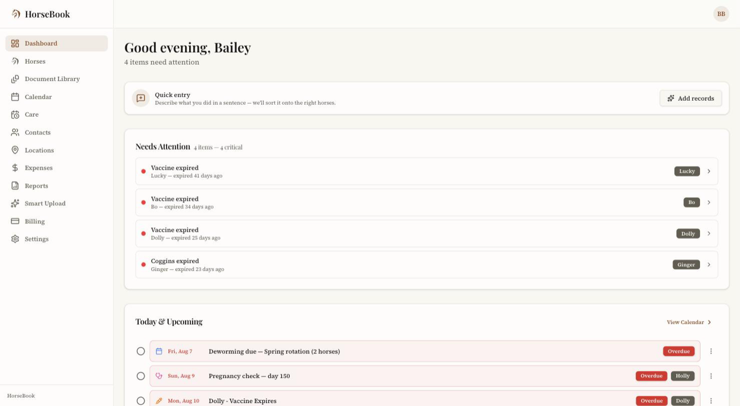 Web dashboard with the Quick entry card at the top