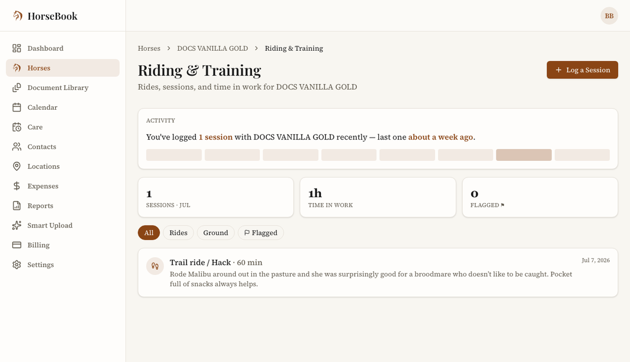 Web horse profile Riding & Training tab with the activity summary above a list of logged sessions